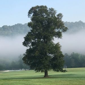 Meet your Posher, Cecily